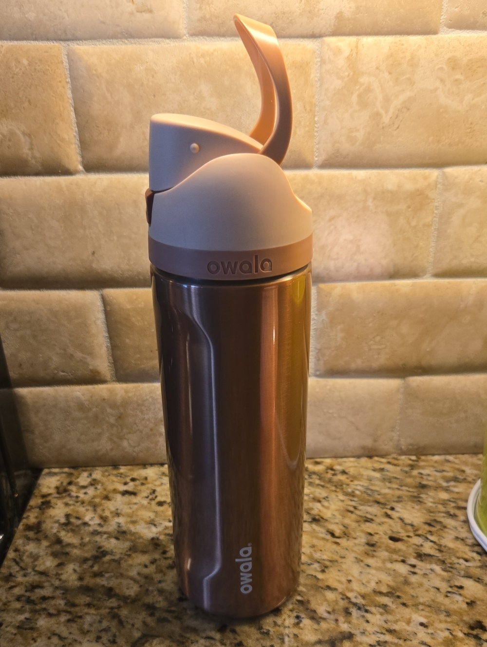 Owala Stainless Steel Bottle with Blush Pink Lid